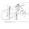 Plunger / elemento di iniezione Beta Marine Beta 28 / Beta 30 – Nanni N3.30 – Universal M-25XPB