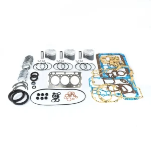 Kit revisione motore Beta Marine Beta 25