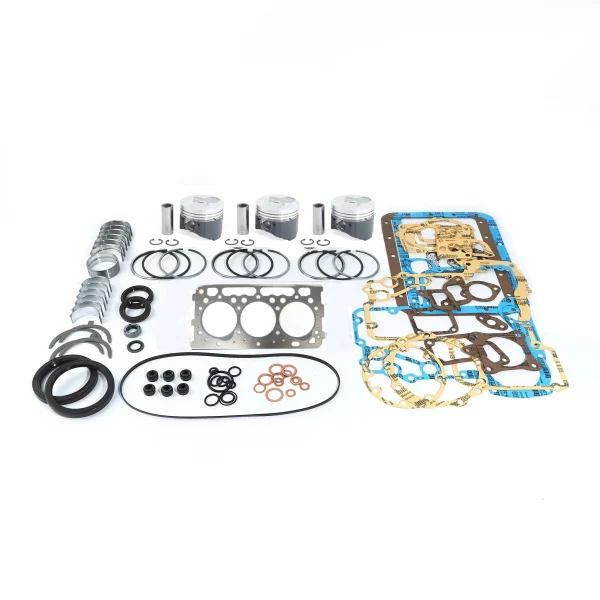 Kit revisione motore Beta Marine Beta 25