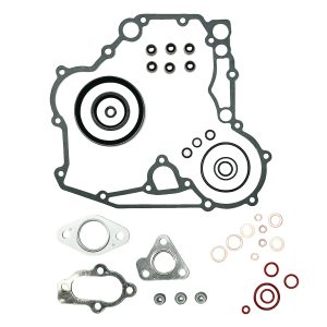 Serie completa di guarnizioni Beta Marine Beta 30 – Nanni N3.30