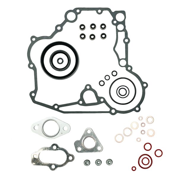 Serie completa di guarnizioni Beta Marine Beta 30 – Nanni N3.30