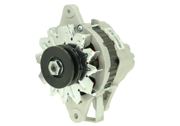 Alternatore Vetus M4.14 – Westerbeke – 12V 50A