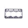 Guarnizione testata – Beta Marine Beta 20 (BD722) | Nanni N3.21