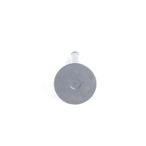 Valvola di aspirazione Beta Marine Beta 50 – Nanni N4.50