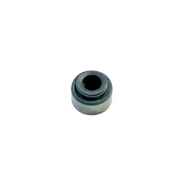 Guarnizioni valvole Beta Marine Beta 50 – Nanni N4.50