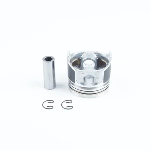 Kit revisione motore Beta Marine Beta 38 | Beta 45T – Nanni N4.38