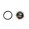 Termostato Beta Marine Beta 50 – Nanni N4.50
