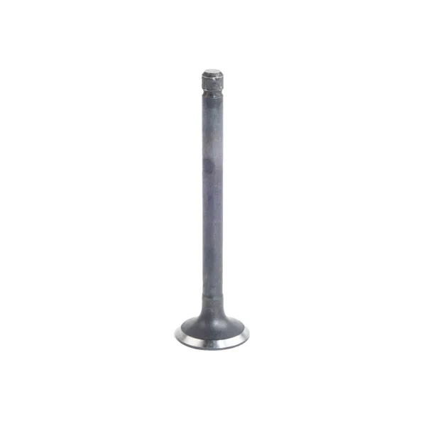 Valvola di scarico Beta Marine Beta 50 – Nanni N4.50