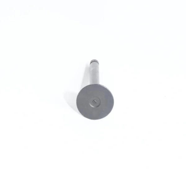 Valvola di scarico Beta Marine Beta 50 – Nanni N4.50