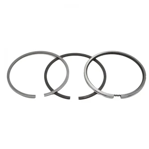 Fasce elastiche Beta Marine Beta 28 | Beta 35 – Universal M-25XPB | M-35B