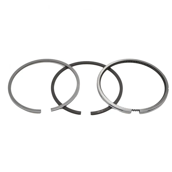 Fasce elastiche Beta Marine Beta 28 | Beta 35 – Universal M-25XPB | M-35B