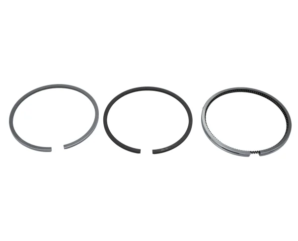 Fasce elastiche Beta Marine Beta 28 | Beta 35 – Universal M-25XPB | M-35B
