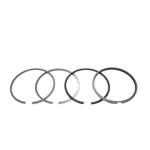 Fasce elastiche Solé Diesel Mini 23 | Mini 34 – Vetus M3.10 – Meiki M3DM | M4DM