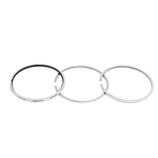 Set fasce elastiche Vetus M2.C5 | M2.D5 – per cilindro