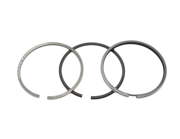 Fasce elastiche Universal M-50
