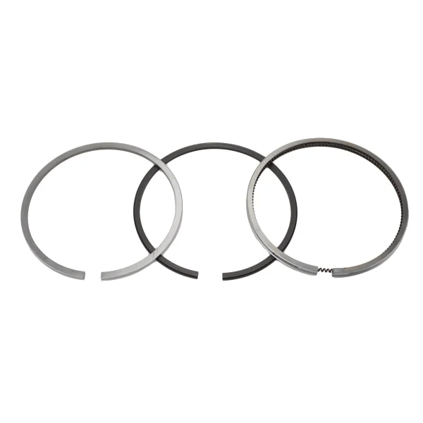 Fasce elastiche Universal M15