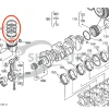 Fasce elastiche Beta Marine Beta 70T