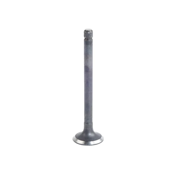Valvola di aspirazione Universal M15