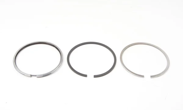 Fasce elastiche Yanmar 2GM20 | 2GM20F | 2GM20C | 3GM30 | 3GM30F