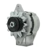 Alternatore Yanmar 2GM 3GM 4JH 4LH 12V 55A