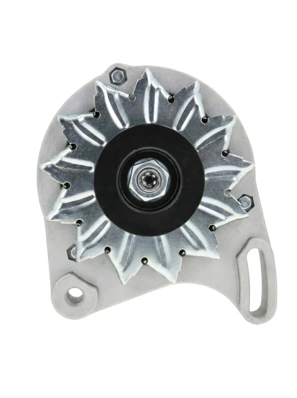 Alternatore Lombardini Marine serie LDW 12V 55A