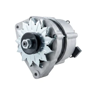 Alternatore Nanni N2.14 | N3.21 | 2.45 Eco | 2.50HE | 3.75HE 12V 70A